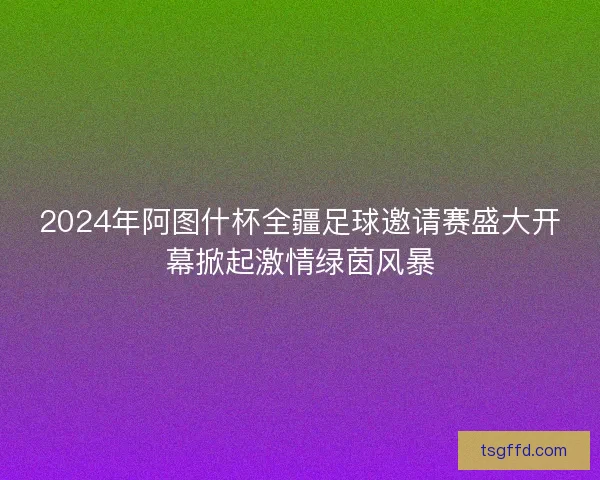 2024年阿图什杯全疆足球邀请赛盛大开幕掀起激情绿茵风暴