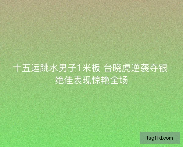 十五运跳水男子1米板 台晓虎逆袭夺银 绝佳表现惊艳全场