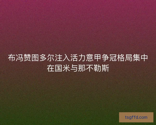 布冯赞图多尔注入活力意甲争冠格局集中在国米与那不勒斯