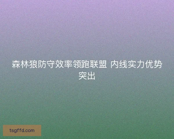 森林狼防守效率领跑联盟 内线实力优势突出