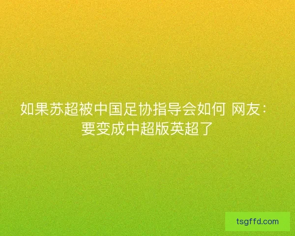 如果苏超被中国足协指导会如何 网友：要变成中超版英超了