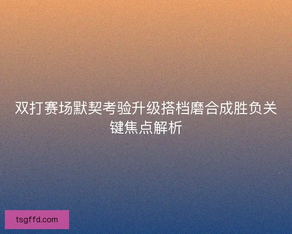 双打赛场默契考验升级搭档磨合成胜负关键焦点解析